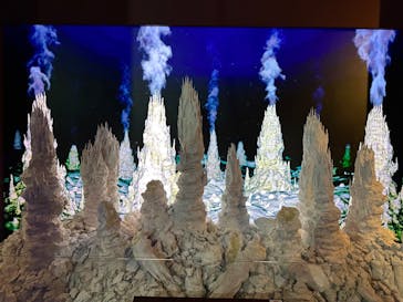 特別展「海　―生命のみなもと―」（国立科学博物館）に投稿された画像（2023/7/27）