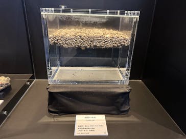 特別展「海　―生命のみなもと―」（国立科学博物館）に投稿された画像（2023/7/27）