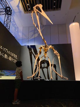 DinoScience 恐竜科学博 2023@TOKYO MIDTOWNに投稿された画像（2023/7/27）