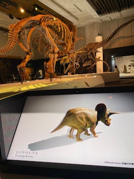 DinoScience 恐竜科学博 2023@TOKYO MIDTOWNに投稿された画像（2023/7/27）