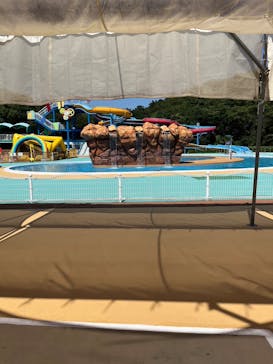 日本モンキーパークに投稿された画像（2023/7/27）