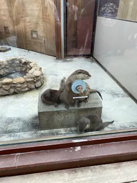 横浜・八景島シーパラダイスに投稿された画像（2023/7/27）