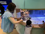 名古屋港水族館に投稿された画像（2023/7/28）