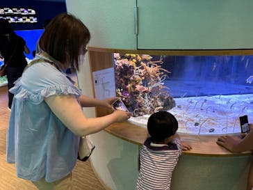 名古屋港水族館に投稿された画像（2023/7/27）