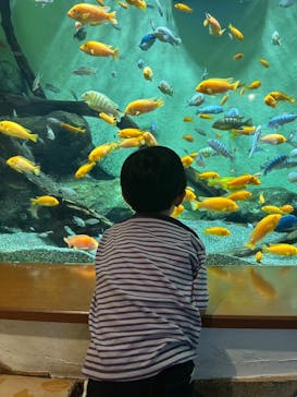 名古屋港水族館に投稿された画像（2023/7/27）