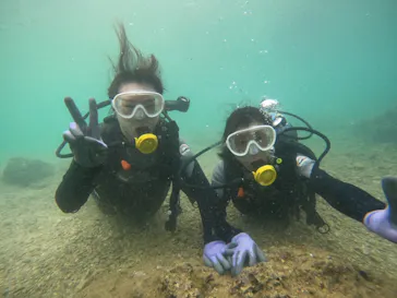 武藤潜水に投稿された画像（2023/7/27）