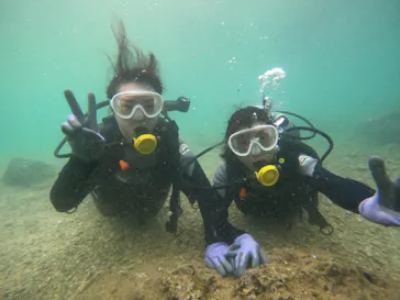 武藤潜水に投稿された画像（2023/7/27）