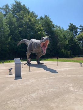 福井県立恐竜博物館に投稿された画像（2023/7/27）