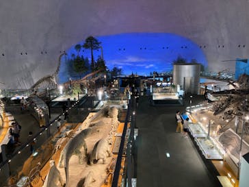 福井県立恐竜博物館に投稿された画像（2023/7/27）