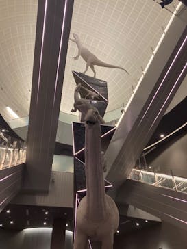 福井県立恐竜博物館に投稿された画像（2023/7/27）