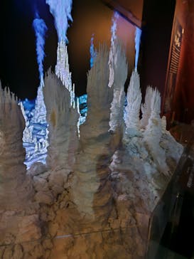 特別展「海　―生命のみなもと―」（国立科学博物館）に投稿された画像（2023/7/28）