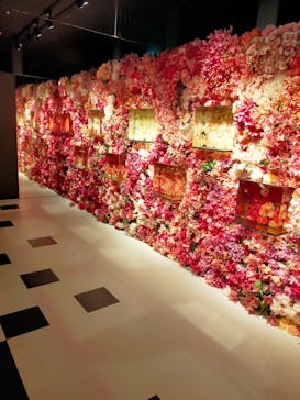 NARA KINGYO MUSEUMに投稿された画像（2023/7/28）