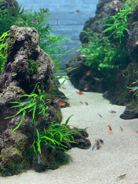 すみだ水族館に投稿された画像（2023/7/28）