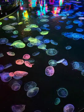 すみだ水族館に投稿された画像（2023/7/28）