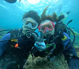 武藤潜水に投稿された画像（2023/7/28）