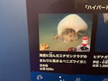特別展「海　―生命のみなもと―」（国立科学博物館）に投稿された画像（2023/7/28）