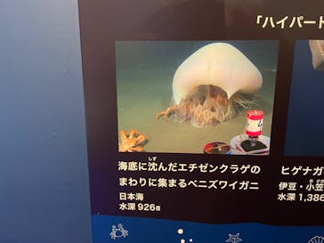特別展「海　―生命のみなもと―」（国立科学博物館）に投稿された画像（2023/7/28）