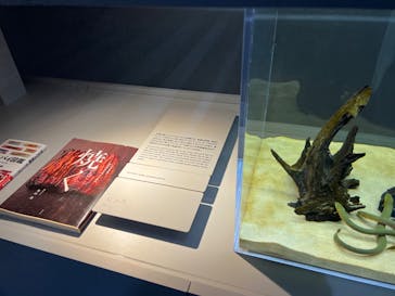 AOAO SAPPOROに投稿された画像（2023/7/28）