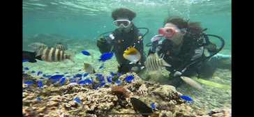 武藤潜水に投稿された画像（2023/7/28）