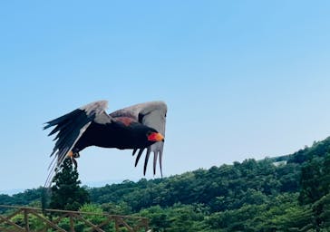 那須どうぶつ王国に投稿された画像（2023/7/28）