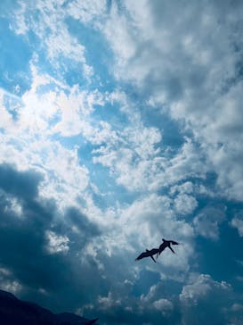 那須どうぶつ王国に投稿された画像（2023/7/28）