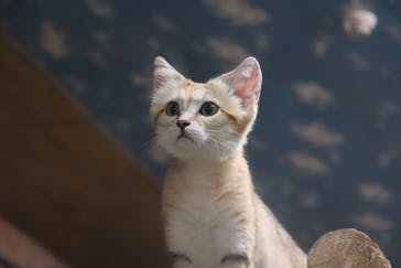 那須どうぶつ王国に投稿された画像（2023/7/28）