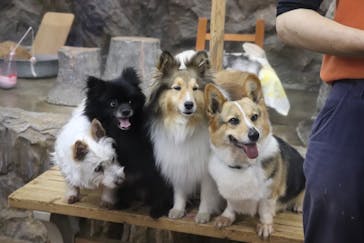 那須どうぶつ王国に投稿された画像（2023/7/28）