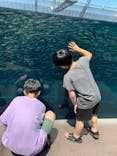 環境水族館アクアマリンふくしまに投稿された画像（2023/7/28）