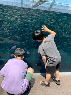 環境水族館アクアマリンふくしまに投稿された画像（2023/7/28）