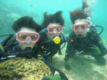 武藤潜水に投稿された画像（2023/7/28）