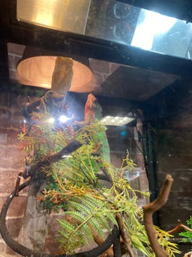 NARA KINGYO MUSEUMに投稿された画像（2023/7/28）