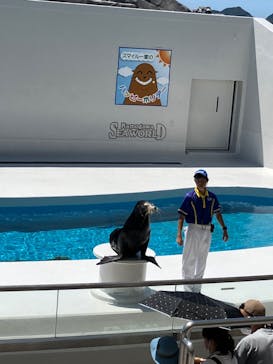 鴨川シーワールドに投稿された画像（2023/7/28）