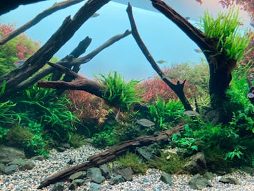 AOAO SAPPOROに投稿された画像（2023/7/28）