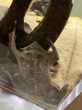 AOAO SAPPOROに投稿された画像（2023/7/28）