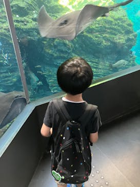 上越市立水族博物館 うみがたりに投稿された画像（2023/7/28）