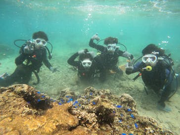 沖縄マリンサービス碧に投稿された画像（2023/7/28）