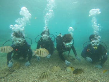 沖縄マリンサービス碧に投稿された画像（2023/7/28）