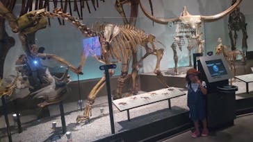 国立科学博物館に投稿された画像（2023/7/28）