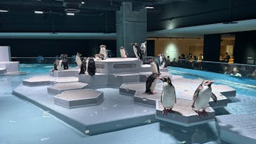 AOAO SAPPOROに投稿された画像（2023/7/28）