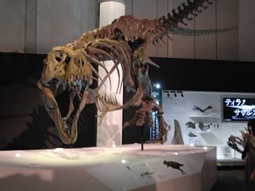 DinoScience 恐竜科学博 2023@TOKYO MIDTOWNに投稿された画像（2023/7/28）