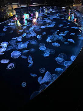 すみだ水族館に投稿された画像（2023/7/28）