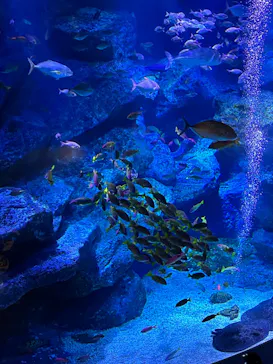 すみだ水族館に投稿された画像（2023/7/28）