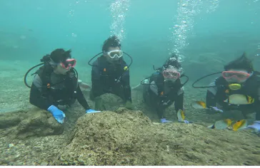 武藤潜水に投稿された画像（2023/7/28）