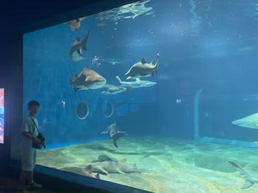アクアワールド茨城県大洗水族館に投稿された画像（2023/7/28）