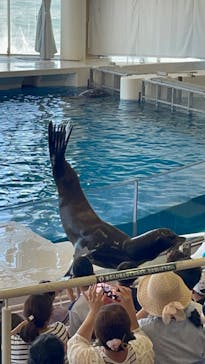 アクアワールド茨城県大洗水族館に投稿された画像（2023/7/28）