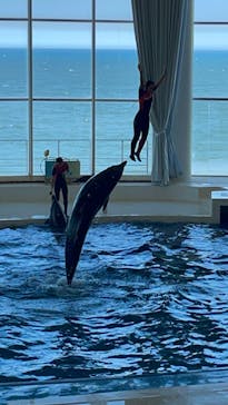 アクアワールド茨城県大洗水族館に投稿された画像（2023/7/28）