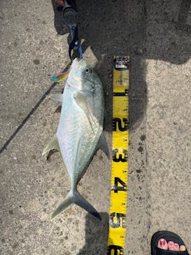 isola blue（イゾラブルー）に投稿された画像（2023/7/28）