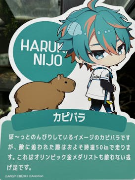 カワスイ 川崎⽔族館に投稿された画像（2023/7/28）