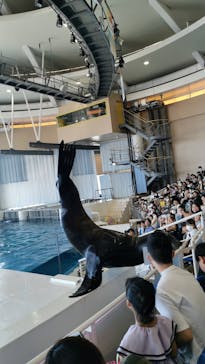 アクアワールド茨城県大洗水族館に投稿された画像（2023/7/28）