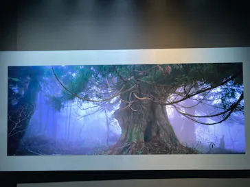 AOAO SAPPOROに投稿された画像（2023/7/28）